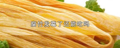 ​腐竹发霉了还能吃吗
