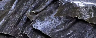 ​发霉的海带洗干净还能吃吗