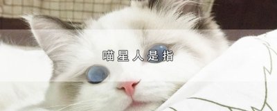 ​喵星人是指