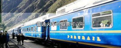 ​普通火车不取票可以吗