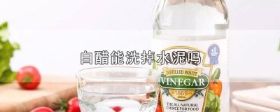​白醋能洗掉水泥吗
