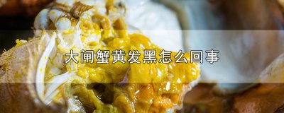 ​大闸蟹黄发黑怎么回事