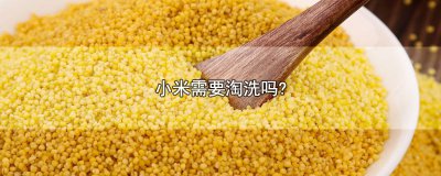 ​小米需要淘洗吗?
