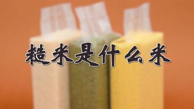 ​糙米是什么米