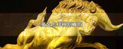 ​黄金怎样辨别真假