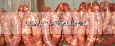​灌香肠什么时候灌最合适