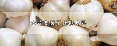 ​大蒜变黄了还能吃吗