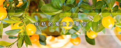 ​年桔的寓意及象征