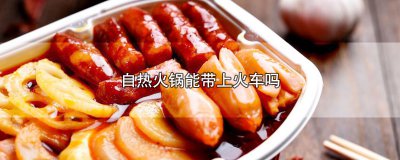 ​自热火锅能带上火车吗