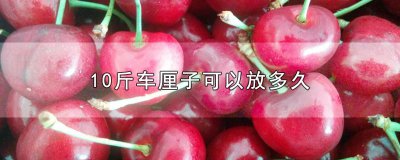 ​10斤车厘子可以放多久