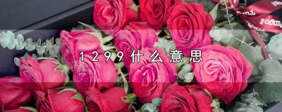 ​1299什么意思