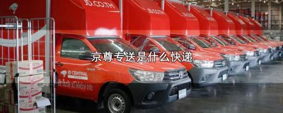 ​京尊专送是什么快递