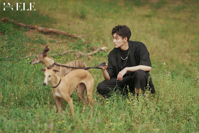 盘点娱乐圈来自陕西的帅哥明星排行榜