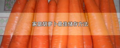 ​家庭胡萝卜最佳储存方法