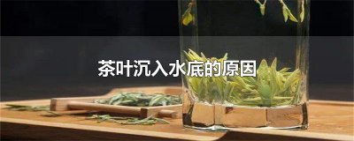 ​茶叶沉入水底的原因