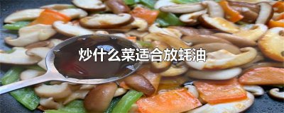 ​炒什么菜适合放蚝油