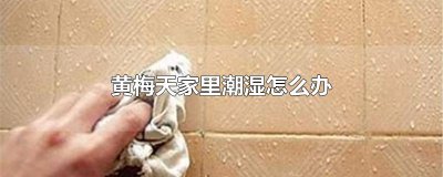 ​黄梅天家里潮湿怎么办