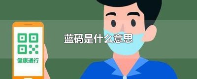 ​蓝码是什么意思