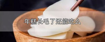 ​年糕长毛了还能吃么