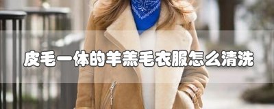 ​皮毛一体的羊羔毛衣服怎么清洗