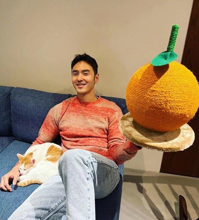 阮经天个人资料简介（阮经天官宣恋情与多名女星传出绯闻）