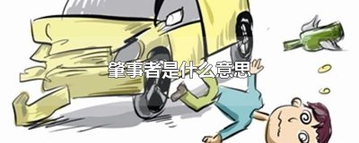 ​肇事者是什么意思