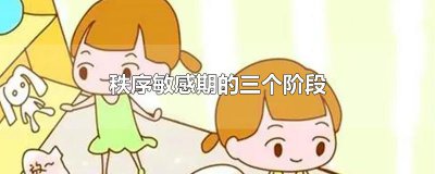 ​秩序敏感期的三个阶段