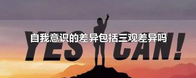 ​自我意识的差异包括三观差异吗