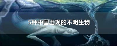 ​5种中国出现的不明生物
