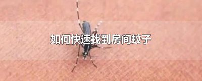 ​如何快速找到房间蚊子