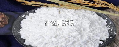 ​什么是淀粉