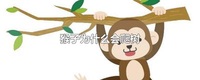 ​猴子为什么会爬树