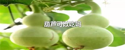 ​葫芦可以吃吗