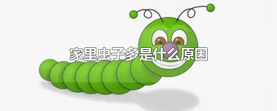 ​家里虫子多是什么原因