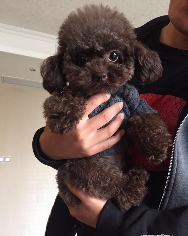 郑国霖女友是谁（欢天喜地七仙女里的董永现在长这样）