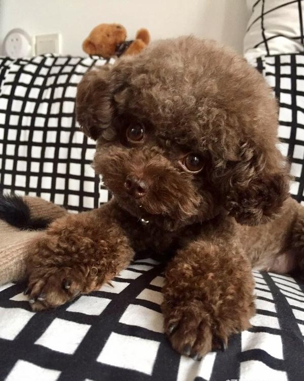 郑国霖女友是谁（欢天喜地七仙女里的董永现在长这样）