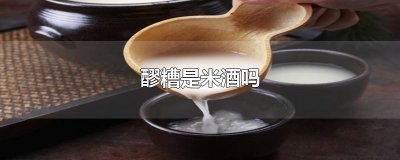 ​醪糟是米酒吗