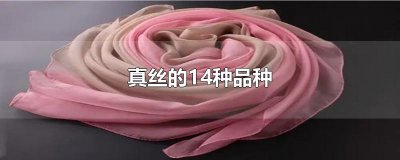 ​真丝的14种品种