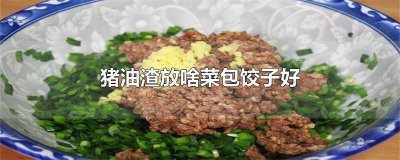 ​猪油渣放啥菜包饺子好
