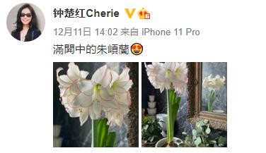 邢菲真实身高是一米几（小个子邢菲的穿搭解读分享）