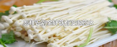 ​怎样识别金针菇有没泡药水