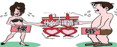 ​什么叫裸婚