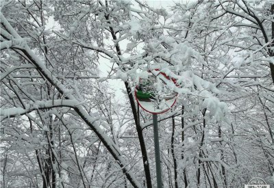​国色天香里的吻戏（刘恺威的五位绯闻女友）