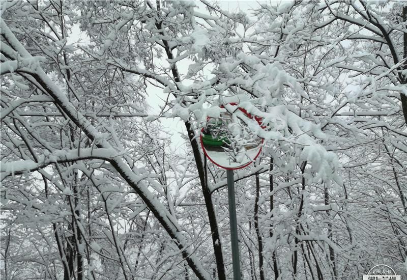 国色天香里的吻戏（刘恺威的五位绯闻女友）