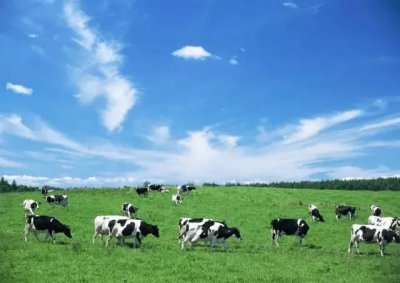 ​荷兰奶粉十大品牌排名（荷兰奶粉品牌有几种）