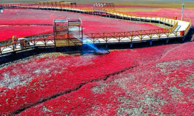 ​国内适合十一旅游的地方有哪些（十一国内旅游景点排行榜）