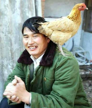 朱之文和于文华婚礼（于文华和朱之文的恩怨情仇）