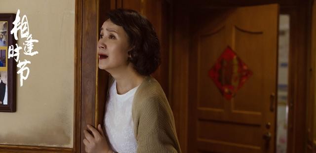 刘露出演的电视剧（刘路在火车站和工作人员起争执）