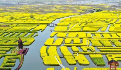 ​泰州旅游景点有哪些好玩的（泰州市旅游景点大全排名）