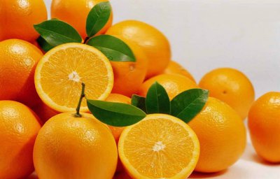 ​优质脐橙品种有哪些 盘点四大优质脐橙品种排名